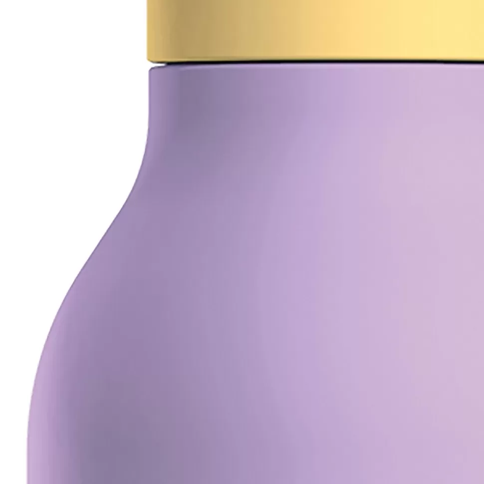 ASOBU Urban Insulated Double-Walled Bottle, 16 oz., Pastel Purple (SBV24) Outlet