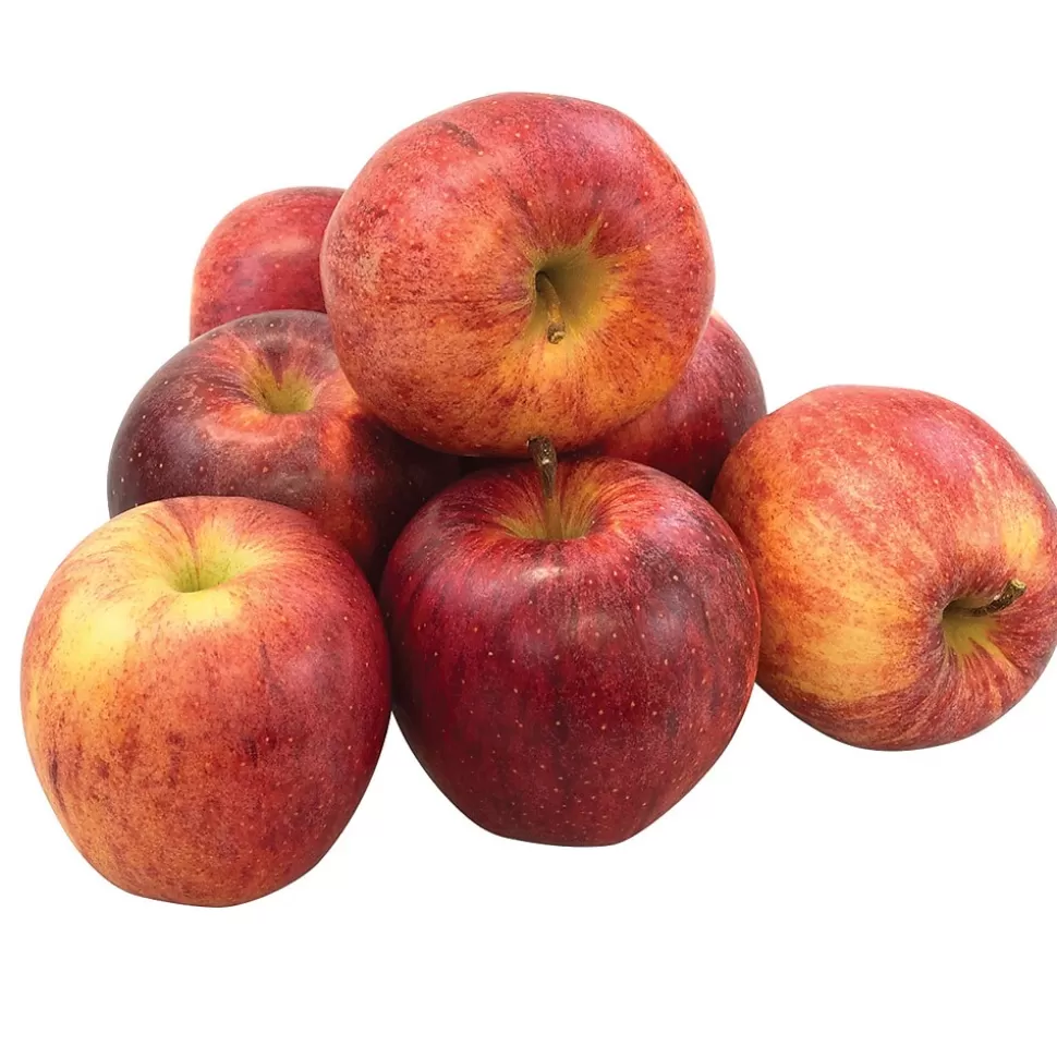 Fresh Groceries Fresh Gala Apples, 8/Pack (900-00032) Sale