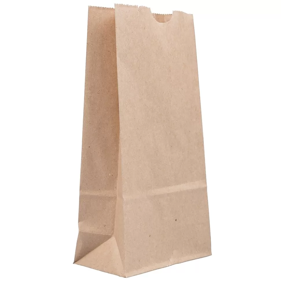 JAM Paper Kraft Lunch Bags, Brown, 25/Pack (690KRBR) Online