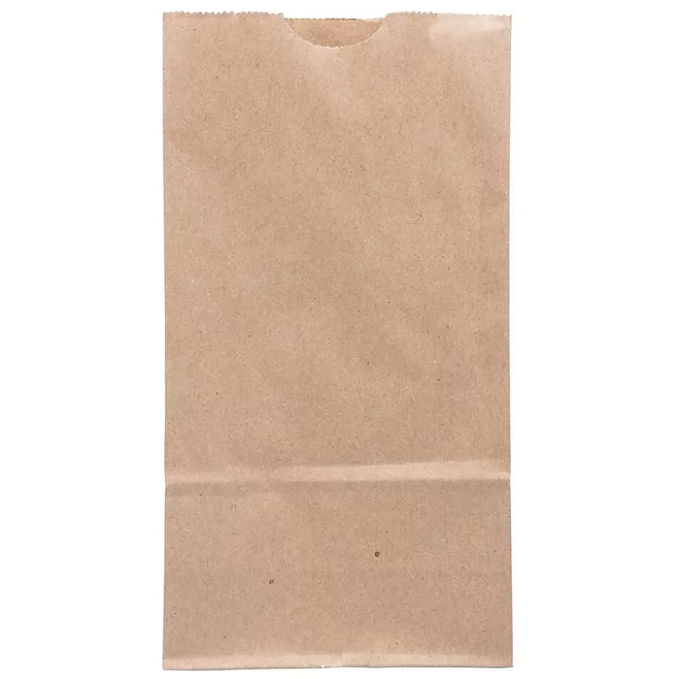 JAM Paper Kraft Lunch Bags, Brown, 25/Pack (690KRBR) Online